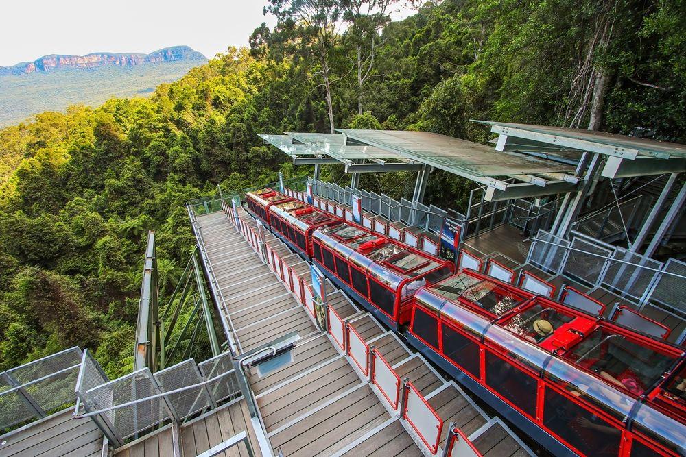 Wildlife Park & Blue Mountain Exploration