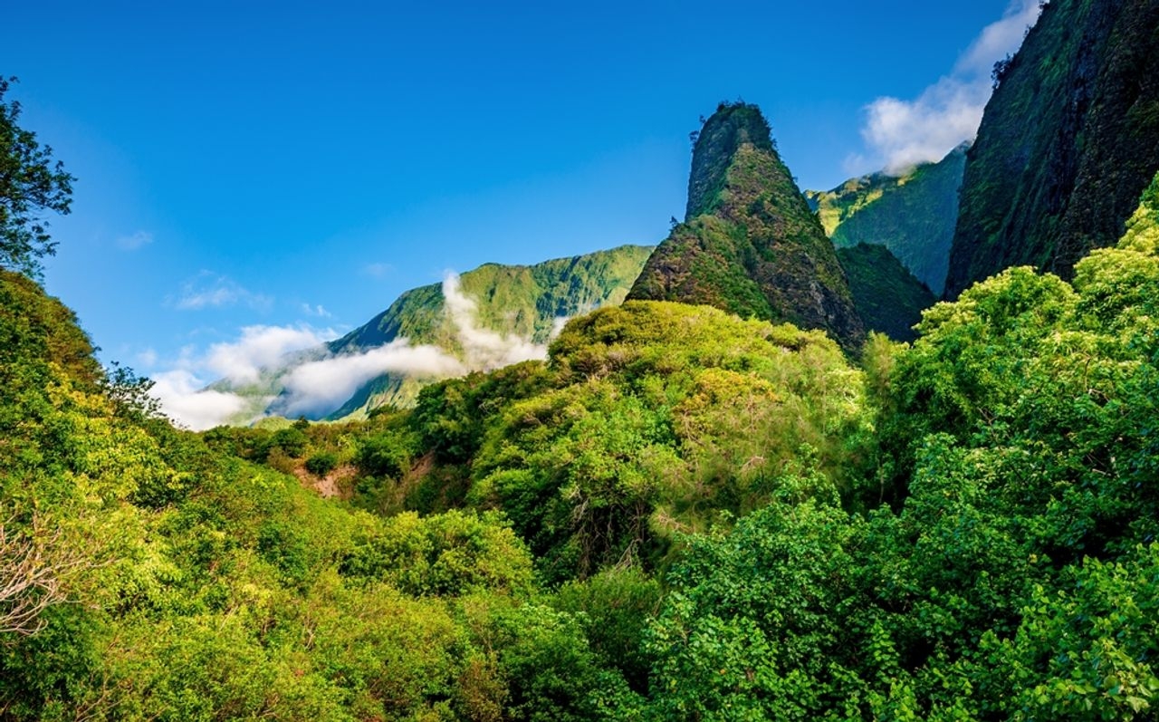 Shore excursion image of Iao Valley & Maui Tropical Plantation
