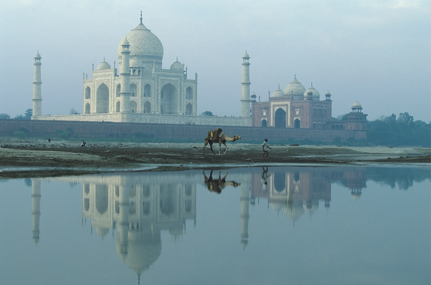 Extension TAJ & TIGERS: FROM MAJESTIC PALACES TO WILD JUNGLES picture